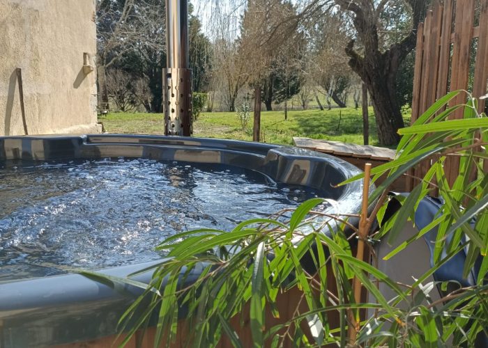 Le bain nordique derrière une plante verte