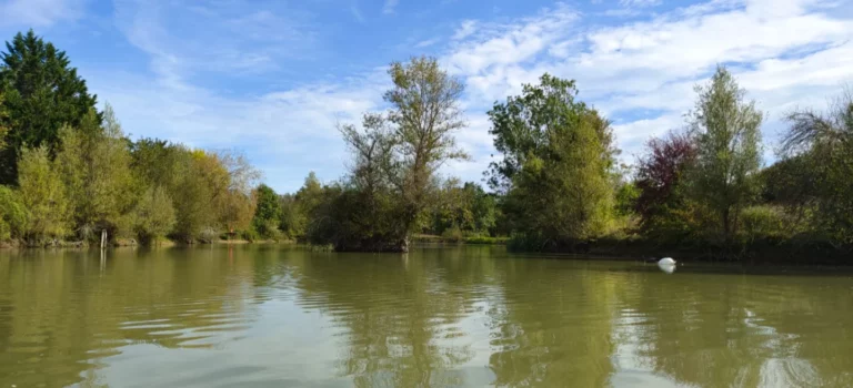 L'étang privé depuis la berge
