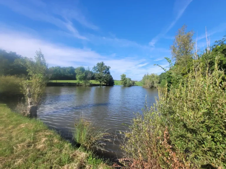 L'étang privé en plan large avec des bosquets