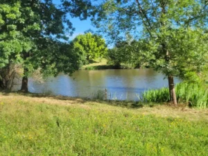 Le Grand Castillon Logement - gîte L'étang privé derrière quelques arbres, l'herbe verte au premier plan