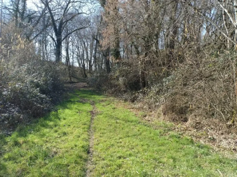 L'entrée du sentier forestier depuis le champ