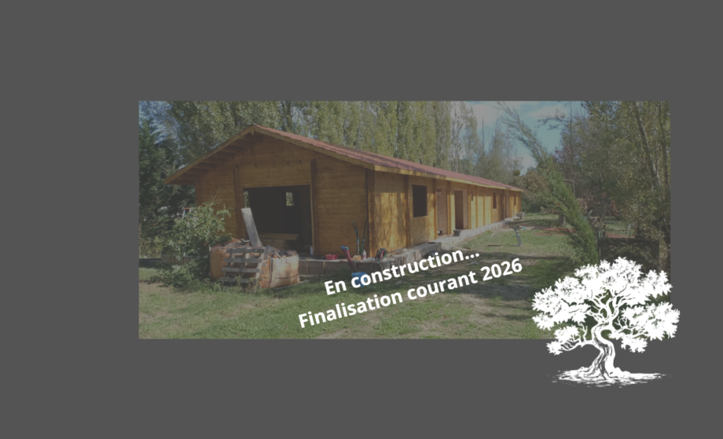 Photo gîtes en bois en construction